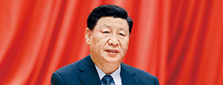 mk官网sports